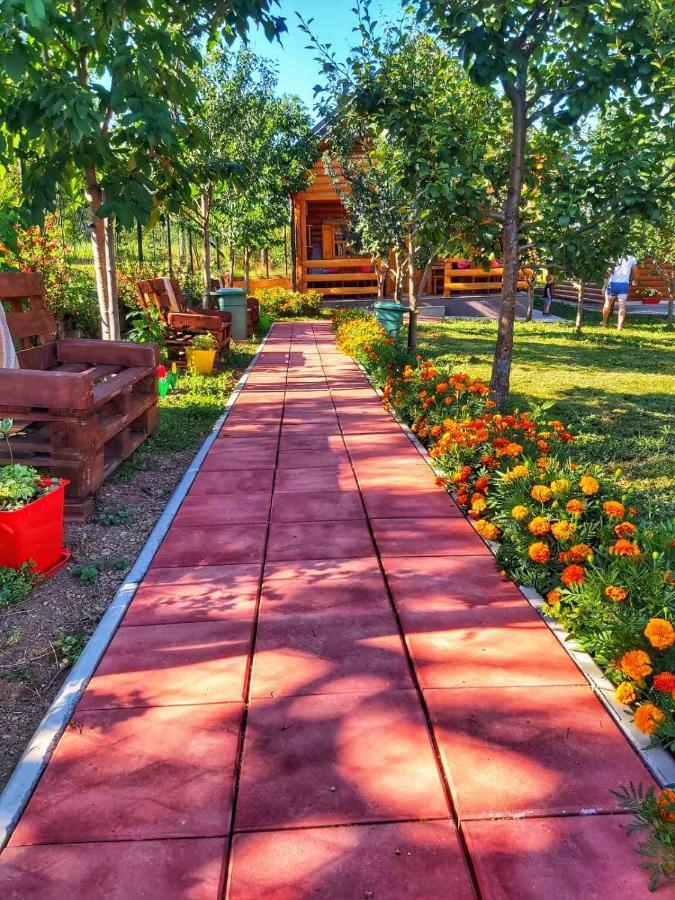 Holiday Bungalows & Food Plav Buitenkant foto