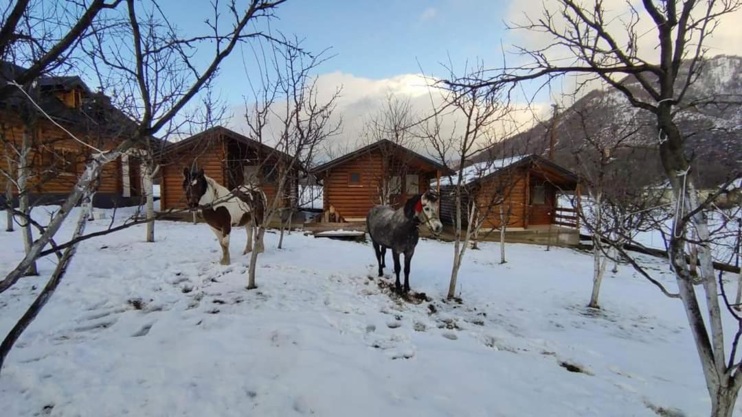 Holiday Bungalows & Food Plav Buitenkant foto